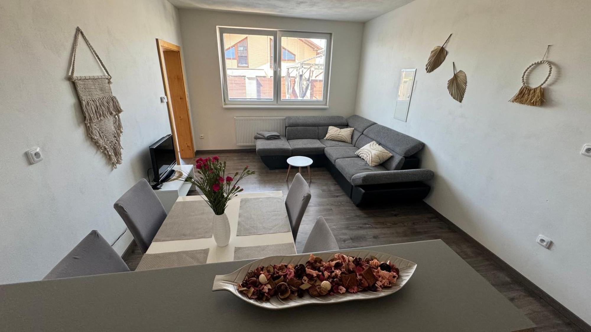 Apartman Lilly Borovany  Экстерьер фото